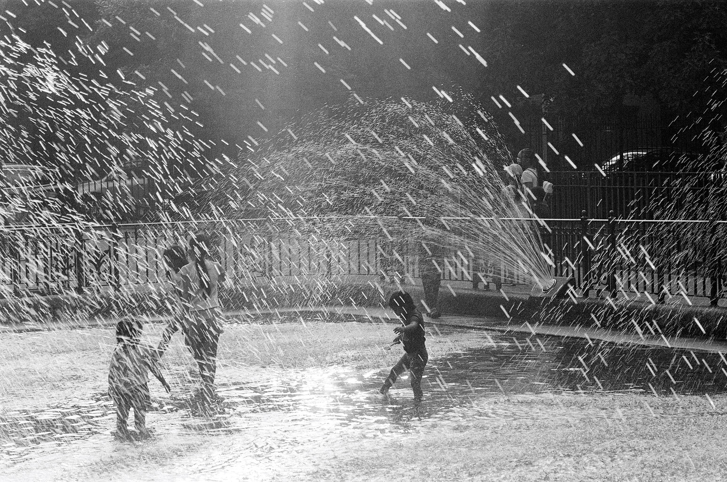 Children playing in a park, Clinton Hill series
