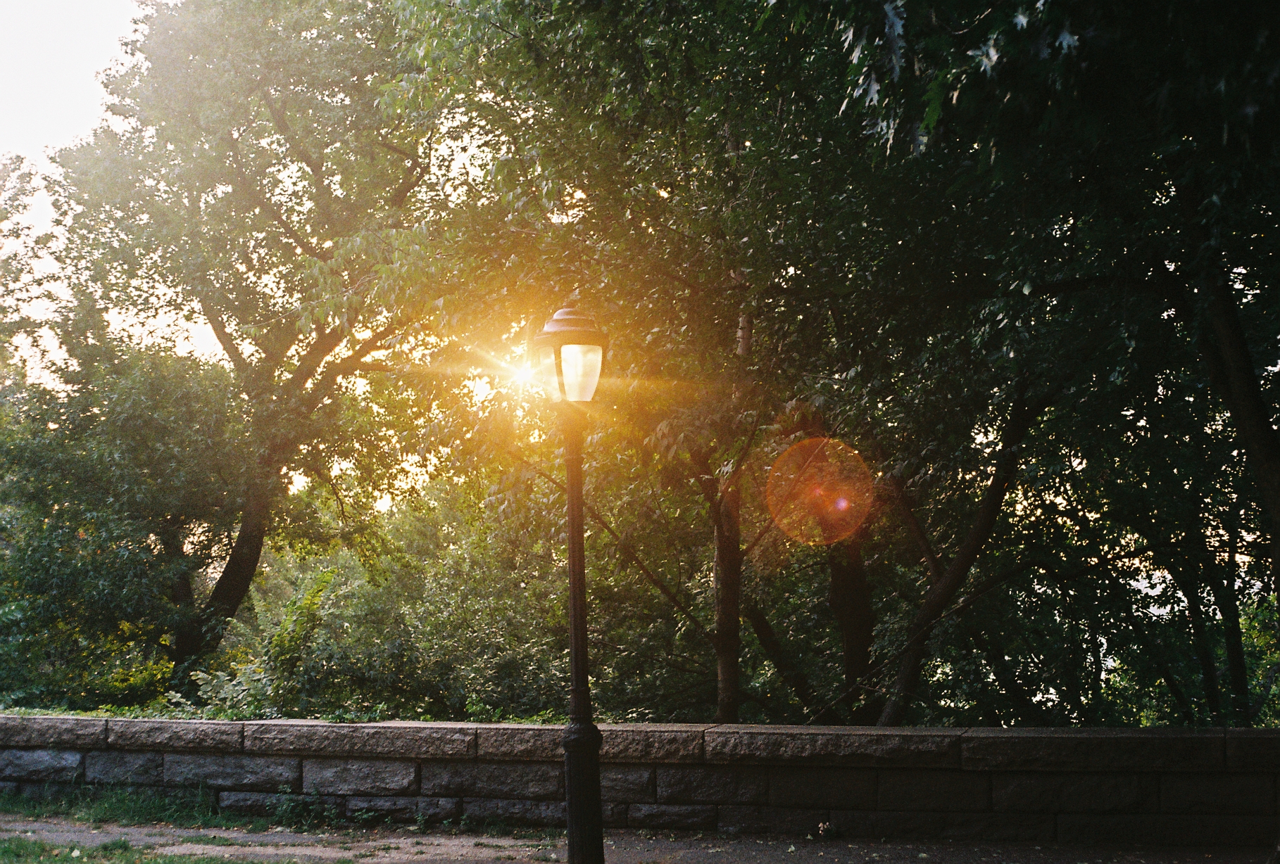 Park lamppost at sunset